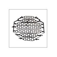 Forgó rács 71 db fürj tojáshoz