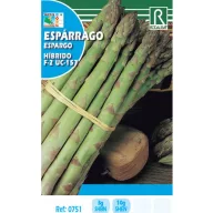 Green asparagus Rocalba