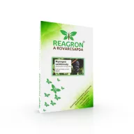   Feromoncsapda Reagron Nyerges szőlőmoly (Eupoecilia ambiguella) 2 rajzásos