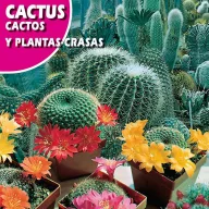 Kaktusz Mix (Cactos y Plantas crasas) Rocalba 0,5g