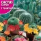 Kaktusz Mix (Cactos y Plantas crasas) Rocalba 0,5g