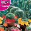 Kaktusz Mix (Cactos y Plantas crasas) Rocalba 0,5g
