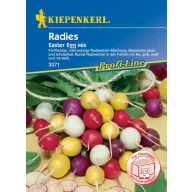Hónapos retek, színes Mix Kiepenkerl kb 4 fm-re