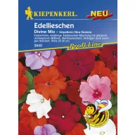 Dandelion Divine Mix Kiepenkerl approx. 10 seeds