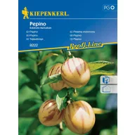 Tojásdinnye Pepino Kiepenkerl 10 szem