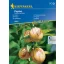 Egg melons Pepino Kiepenkerl 10 seeds