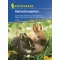 Grasses for bunnies Kiepenkerl approx. 3-5 m2