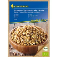 Csíramag Bio Lencse Kiepenkerl 60 g