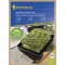 Micro Vegetables Organic Arugula Refill Seed Cushion Kiepenkerl 3 pcs