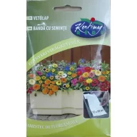 Vetőlap Egynyári virágkeverék 10x80 cm