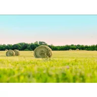   Fűmag Professzionális kaszáló keverék Natúrmix (szárazságtűrő) 25 kg