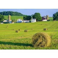   Fűmag Professzionális kaszáló keverék Energy (vizes területekre) 25 kg