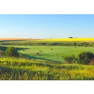   Fűmag Professzionális Kaszáló és Legelő keverék Ökomix 25 kg