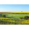Grass Seed Professional Mowing and Grazing Mix Ökomix 25 kg