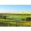 Grass Seed Professional Mowing and Grazing Mix Ökomix 25 kg
