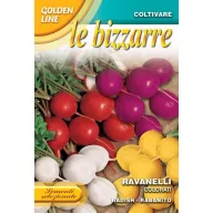 Hónapos retek mix, Franchi Sementi 15g