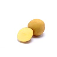   Burgonya vetőgumó chips készítéshez "Sorentina" 50 db