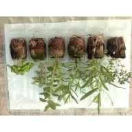 Grill-mix 6-pack of slate