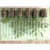 Fresh spice 6-pack of seedlings
