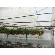 Raschel-háló (sűrű szövés) fehér 6x50m 70g/m2 (65%)