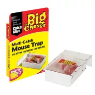 Mousetrap with bait Multi-Catch The Big Cheese