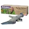 Bird Alarm Flying Falcon Defenders