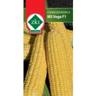 Csemegekukorica MS Vega F1 100 szem ZKI