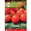 Paradicsom Zömök 1 g ZKI