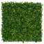 Green Wall with Forest Plants Vertical Forest 1x1 m