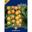 Paradicsom Goldkrone BK 0,2 g