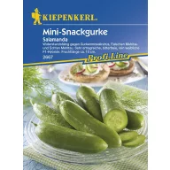 Mini snack cucumber Salamanda F1 Kiepenkerl