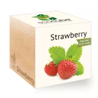 ecocube - Strawberry