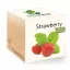 ecocube - Strawberry