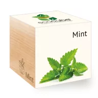 ecocube - Menta