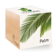 ecocube - Pálma