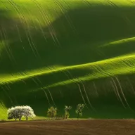 AKG Zöldugar 1 Fűmagkeverék 25 kg