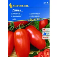 Salátaparadicsom Pozzano 6 szem Kiepenkerl