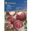Lettuce Radicchio Indigo 40 grains Kiepenkerl