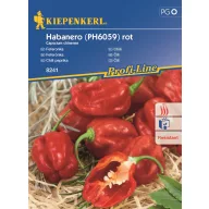 Chili paprika Habanero piros min. 7 db mag  Kiepenkerl