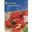 Chilli pepper Habanero red min. 7 seeds Kiepenkerl