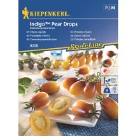   Cseresznyeparadicsom Indigo™ Pear Drops min. 9 db mag Kiepenkerl