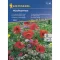 Useful insect garden flower seed mix 30 m2 Kiepenkerl