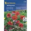 Useful insect garden flower seed mix 30 m2 Kiepenkerl