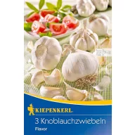 Fokhagyma Flavor 3 fej Kiepenkerl
