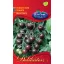Cocktail tomatoes black Black cherry 0,5 g