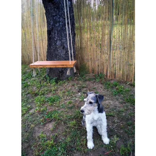 Hasított bambuszfonat Bamboocane 1x5m