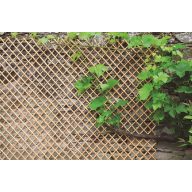 Apácarács Wick Trellis natúr  0,5x1,5 m