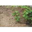 Apácarács Wick Trellis natúr  0,5x1,5 m