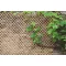 Apácarács Wick Trellis natúr 1x2 m