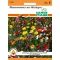 Mössingen flower mix 2 m2 Seed Pfann